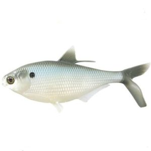 13 Fishing Coalition Baits BAMF Shad REA