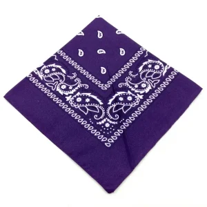 Deep purple västerländsk paisley bandana