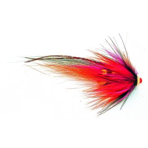 Frödin Nobody In Flames