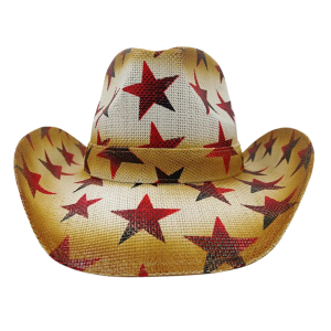Färgglad stjärntryckt strå cowboyhatt