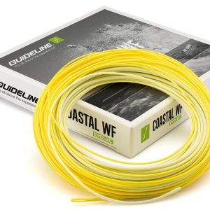 Guideline Coastal WF Evolve REA