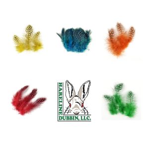 Strung Guinea Feathers