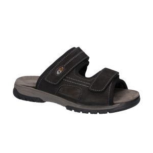 Waldläufer Harald Svart