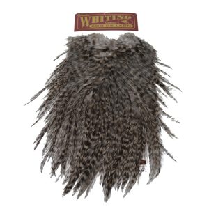 Whiting Coq de Leon Bronze Saddle