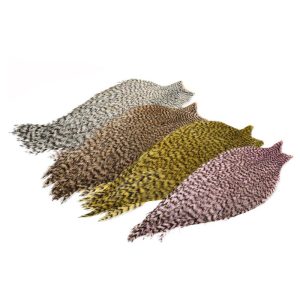 Whiting American Rooster Cape